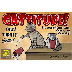 CATtitude!