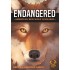 Endangered: American Red Wolf Scenario